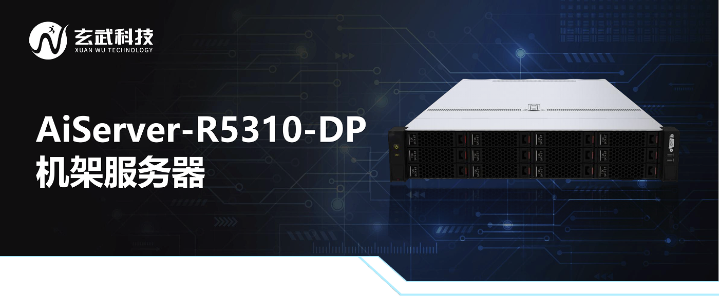 AiServer-r5310-dp 产品图
